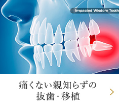 痛くない親知らずの抜歯・移植